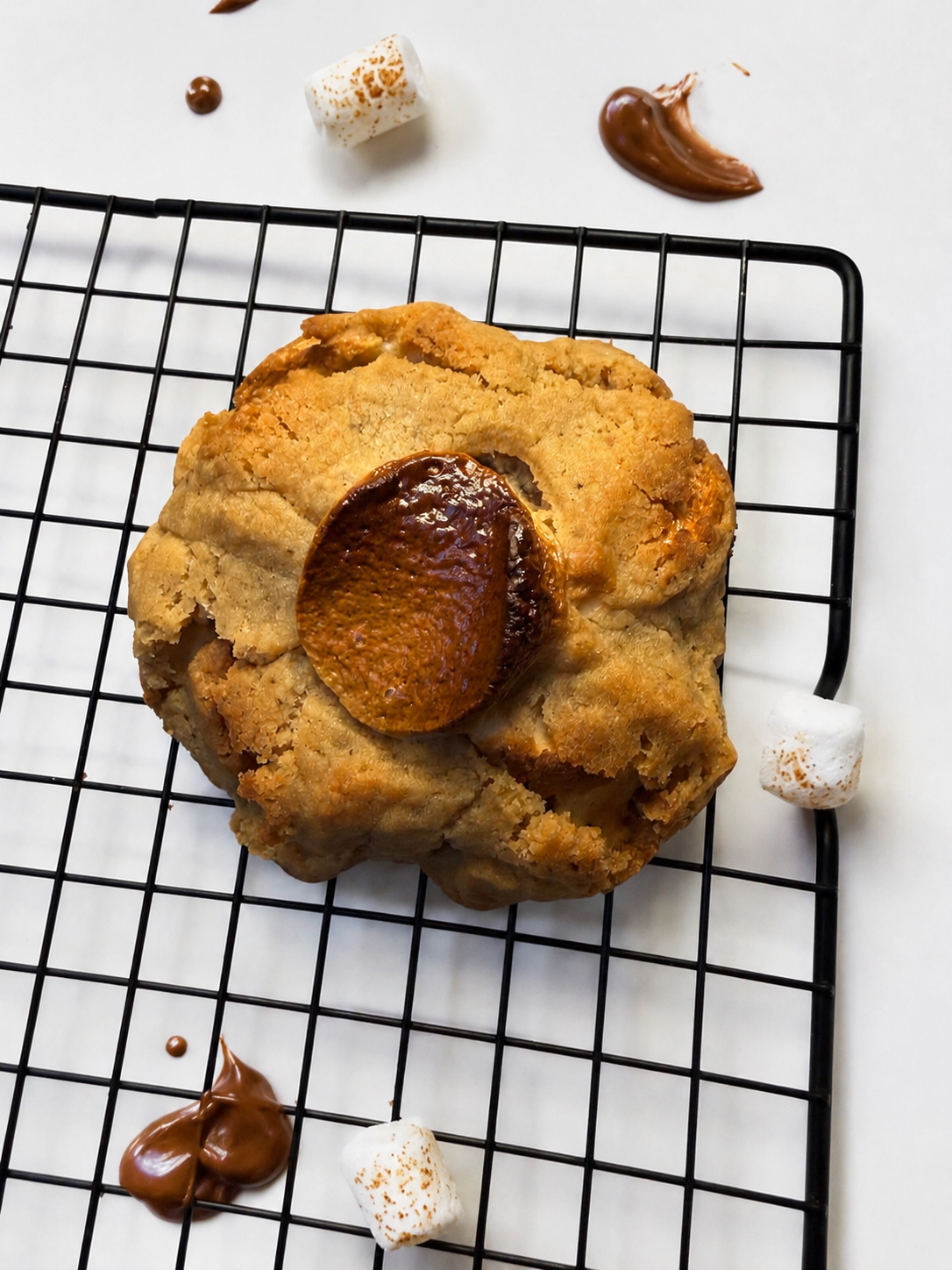 Mr. Smokey S'mores